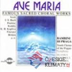 Ave Maria - książka