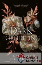 Dark Forgetting - książka