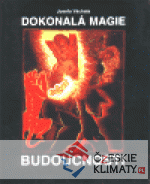 Dokonalá magie budoucnosti - książka