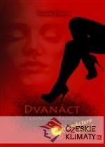 Dvanáct Temných panen a dvanáctero Sluncí - książka