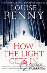 How the Light Gets In - książka
