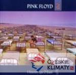 A Momentary Lapse Of Reason