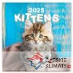 Poznámkový kalendář Koťata 2025 - a...