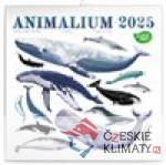 Poznámkový kalendář Animalium 2025 -...