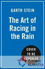Art of Racing in the Rain
