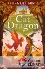 Cat Dragon