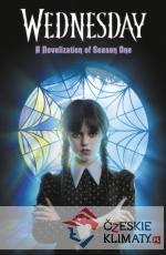 Wednesday: A Novelisation of Season One