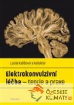 Elektrokonvulzivní léčba