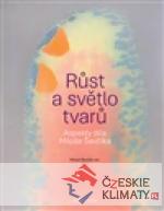 Růst a světlo tvarů