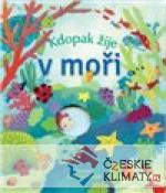 Kdopak žije v moři