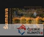 Šumava Františka Malocha