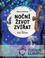 Noční život zvířat