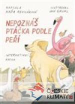 Nepoznáš ptáčka podle peří