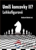 Umíš koncovky II? (Lehkofigurové)