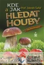 Kde a jak hledat houby