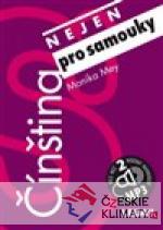 Čínština nejen pro samouky