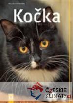 Kočka