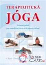 Terapeutická jóga