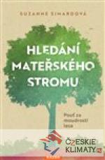 Hledání mateřského stromu