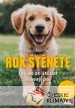 Rok štěněte