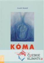 Kóma. Klíč k probouzení