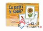 Co patří k sobě?