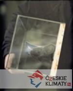 Lukáš Rittstein