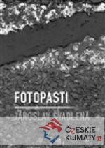 Fotopasti