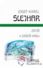 Zátiší / V zášeří krbu