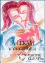 Já čekám v Čechách - książka