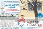 Jak žijí zvířata v zimě - książka
