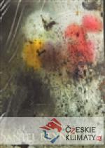Kalendář Daniel Reynek 2011 - nástěnný - książka