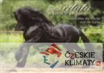Kniha citátů o koních a o lásce/Zitate über die Pferde und die Liebe - książka