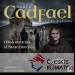 Malomocný u svatého Jiljí - książka