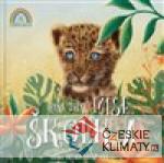 Mise školka - książka