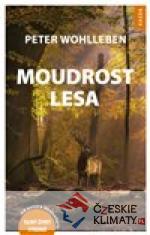 Moudrost lesa - książka