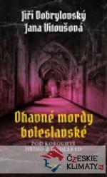 Ohavné mordy boleslavské - książka