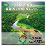 Poznámkový kalendář Deštné pralesy 2025 - audiobook - książka