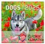 Poznámkový kalendář Psi 2025 - audiobook - książka