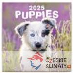 Poznámkový kalendář Štěňata 2025 - audiobook - książka
