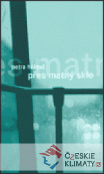 Přes matný sklo - książka