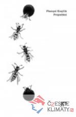 Propadání - książka