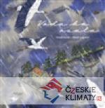 Voda ho vzala - książka