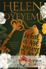 What Is Not Yours Is Not Yours - książka