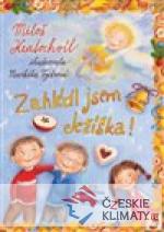 Zahlédl jsem Ježíška - książka